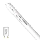 Noxion LED Lysrør T8 Avant (EM/Mains) Standard Output 7.5W 900lm - 840 Kold Hvid | 60cm - Erstatter 18W